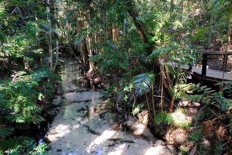 Fraser Island 4WD Tour From Rainbow Beach - Attractions Melbourne 0