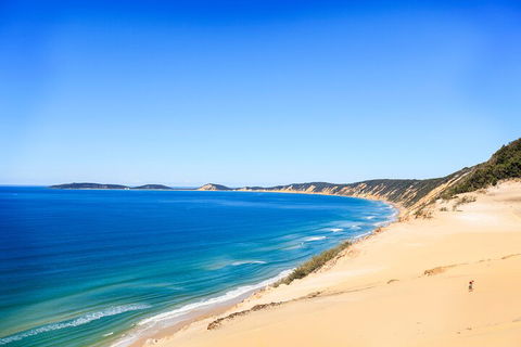Kayak With Dolphins And 4WD Great Beach Drive Day Trip From Noosa - Attractions Melbourne 0