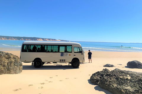 Kayak With Dolphins And 4WD Great Beach Drive Day Trip From Noosa - Attractions Melbourne 4