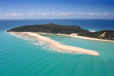 Kayak With Dolphins And 4WD Great Beach Drive Day Trip From Noosa - Attractions Melbourne 5