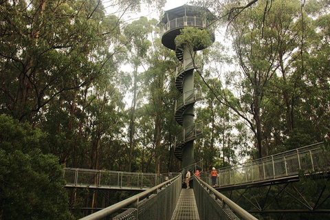Private Tours From Melbourne - Attractions Melbourne 5