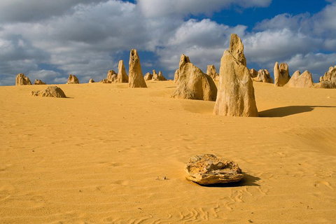 The Pinnacles, Sea And Dunescapes, Bush Reserve And Sunset Day Tour - Attractions Melbourne 0
