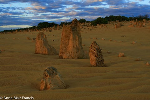 The Pinnacles, Sea And Dunescapes, Bush Reserve And Sunset Day Tour - Attractions Melbourne 1