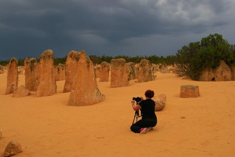 The Pinnacles, Sea And Dunescapes, Bush Reserve And Sunset Day Tour - Attractions Melbourne 2