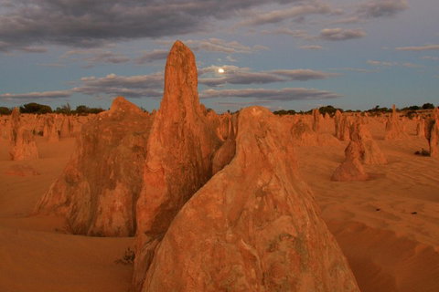 The Pinnacles, Sea And Dunescapes, Bush Reserve And Sunset Day Tour - Attractions Melbourne 4