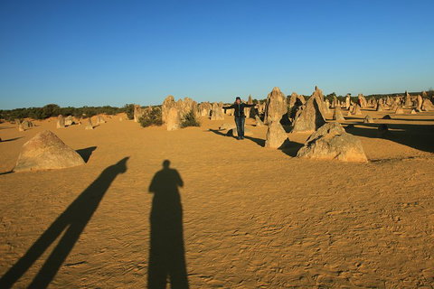 The Pinnacles, Sea And Dunescapes, Bush Reserve And Sunset Day Tour - Attractions Melbourne 5