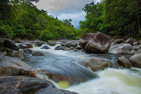 Cape Tribulation Day Tour - Attractions Melbourne 0