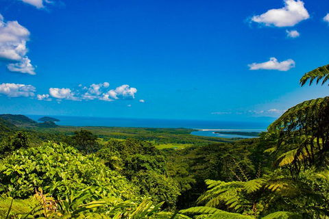 Cape Tribulation Day Tour - Attractions Melbourne 3