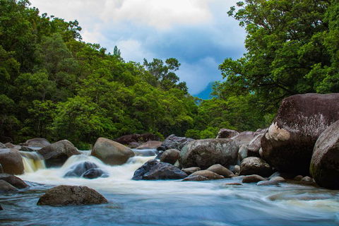 Cape Tribulation Day Tour - Attractions Melbourne 4