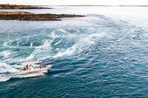 Giant Tides Tour - Cygnet Bay Pearl Farm - Attractions Melbourne 4