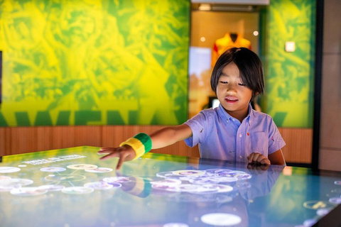 Melbourne Sports Experience + Free Australian Sports Museum Entry - Attractions Melbourne 4
