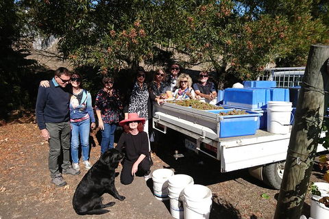 Valleys Of Vino Tour - Attractions Melbourne 1