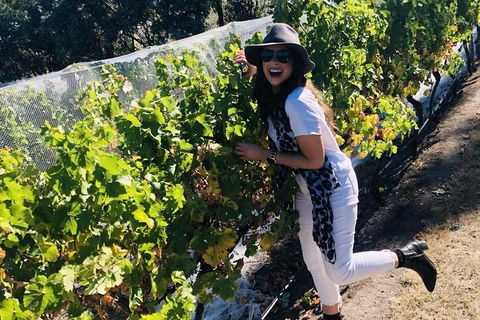 Valleys Of Vino Tour - Attractions Melbourne 3