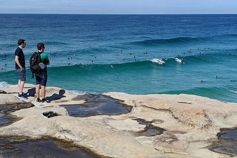 Sydney Secrets & Bondi Beach Private 4 Hr Morning With Personalised Sydney Tours - Attractions Melbourne 2
