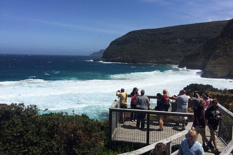 The Port Arthur MEGA Day Trip From Hobart - Attractions Melbourne 2