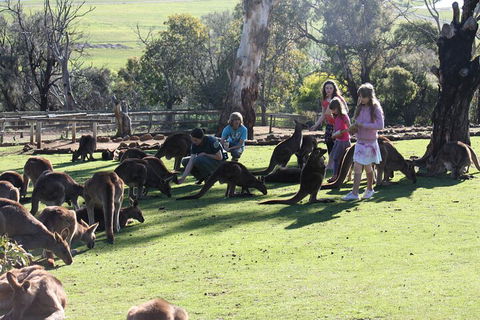 The Port Arthur MEGA Day Trip From Hobart - Attractions Melbourne 5