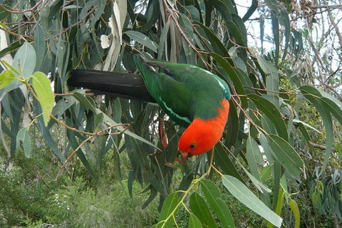 3-Day Private Adelaide To Melbourne Tour - Attractions Melbourne 0