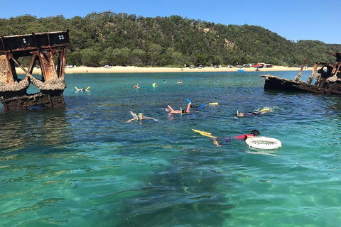 All Inclusive Dolphin And Tangalooma Wrecks Cruise - Attractions Melbourne 0