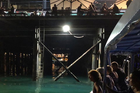 Darwin Sunset Cruise Including Fish 'n' Chips - Attractions Melbourne 0