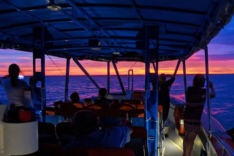 Darwin Sunset Cruise Including Fish 'n' Chips - Attractions Melbourne 1