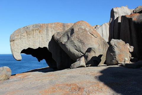Kangaroo Island Personal Group Tours - Attractions Melbourne 2