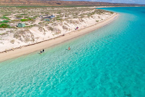 Ningaloo In A Day - Full Day Hike And Snorkel Tour With Lunch - Attractions Melbourne 0