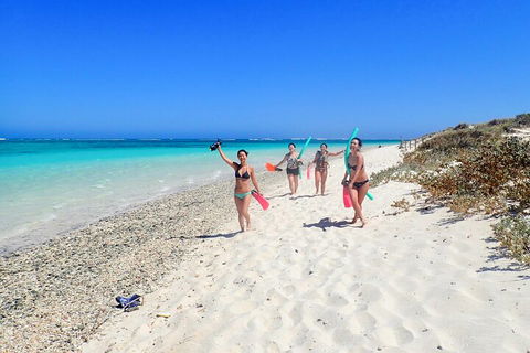 Ningaloo In A Day - Full Day Hike And Snorkel Tour With Lunch - Attractions Melbourne 1