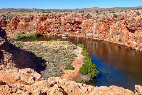 Ningaloo In A Day - Full Day Hike And Snorkel Tour With Lunch - Attractions Melbourne 2