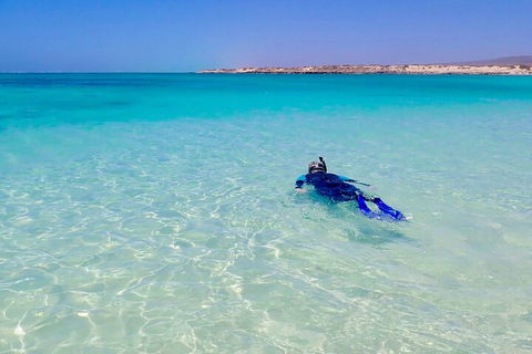 Ningaloo In A Day - Full Day Hike And Snorkel Tour With Lunch - Attractions Melbourne 4