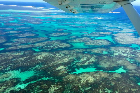 Shipwreck Special Full Day Tour Of The Abrolhos Islands - Attractions Melbourne 1
