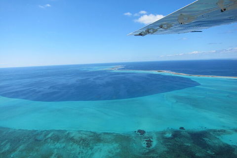 Shipwreck Special Full Day Tour Of The Abrolhos Islands - Attractions Melbourne 2