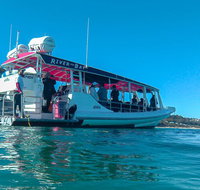 Best of Moreton Bay Cruise - Attractions Melbourne