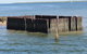 Best Of Moreton Bay Cruise - thumb 1