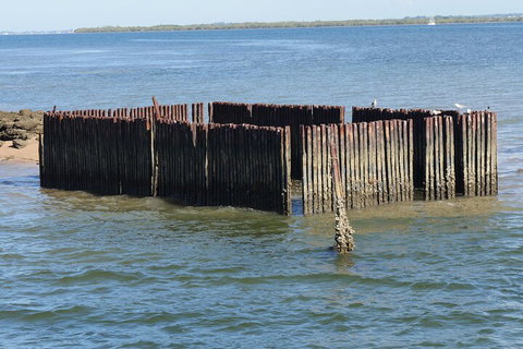 Best Of Moreton Bay Cruise - Attractions Melbourne 1