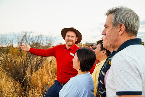 Uluru (Ayers Rock) Sunset With Outback Barbecue Dinner And Star Tour - Attractions Melbourne 3