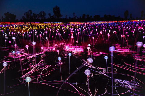 Uluru (Ayers Rock) Field Of Light Sunrise Tour - Attractions Melbourne 1