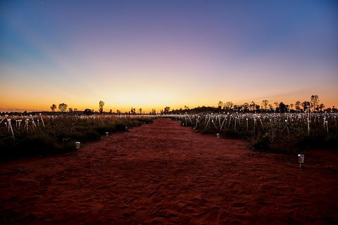 Uluru (Ayers Rock) Field Of Light Sunrise Tour - Attractions Melbourne 3