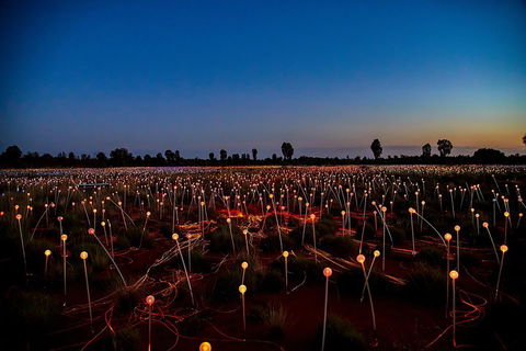 Uluru (Ayers Rock) Field Of Light Sunrise Tour - Attractions Melbourne 4