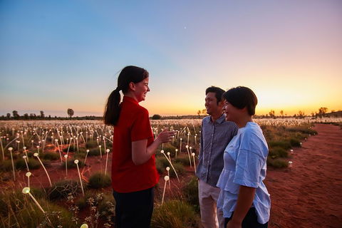 Uluru (Ayers Rock) Field Of Light Sunrise Tour - Attractions Melbourne 5