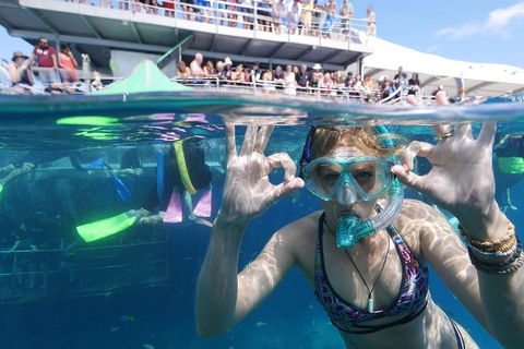 Great Barrier Reef Day Cruise From Cairns Including Snorkeling And Marine Biologist Presentation - Attractions Melbourne 0