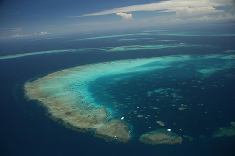 Great Barrier Reef Day Cruise From Cairns Including Snorkeling And Marine Biologist Presentation - Attractions Melbourne 1