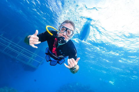 Great Barrier Reef Day Cruise From Cairns Including Snorkeling And Marine Biologist Presentation - Attractions Melbourne 3