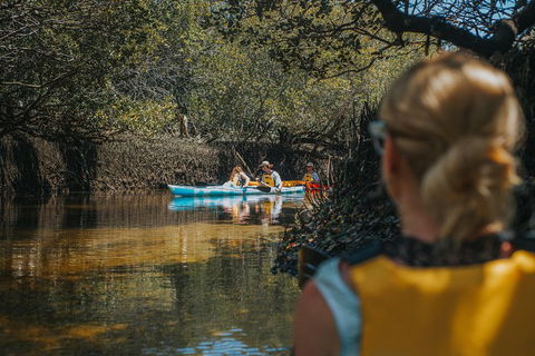 Kayak Tour In Adelaide Dolphin Sanctuary - Attractions Melbourne 0