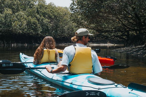 Kayak Tour In Adelaide Dolphin Sanctuary - Attractions Melbourne 2