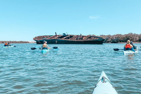 Kayak Tour In Adelaide Dolphin Sanctuary - Attractions Melbourne 3