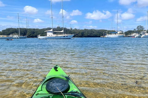 Kayak Tour In Adelaide Dolphin Sanctuary - Attractions Melbourne 4