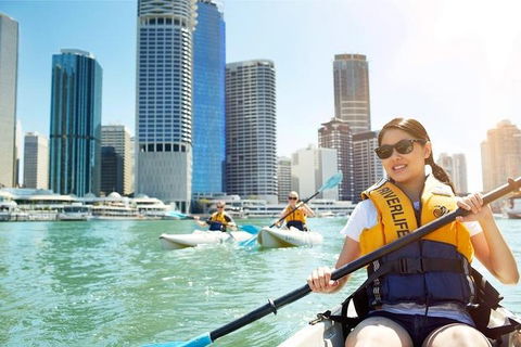 Brisbane Kayak Tour - Attractions Melbourne 5
