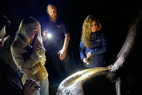 Evening Rainforest & Glow Worm Experience - Attractions Melbourne 2