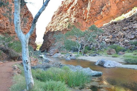 Alice Springs, Uluru Ayers Rock & Kings Canyon 8 Days Touring Package - Attractions Melbourne 2