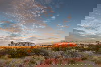 Book Viator Accommodation Vacations Attractions Melbourne Attractions Melbourne